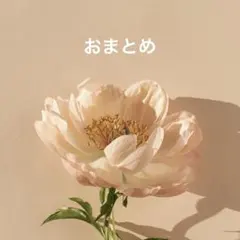 きなこプロフ必読お願いします 様リクエスト2点まとめ商品