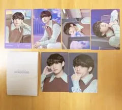 BTS sowoozoo ミニフォト テテ