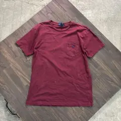 90~00s PATAGONIA wine mountain wave tee - メルカリ