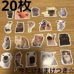 ちきぃら様 リクエスト 2点 まとめ商品