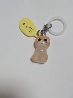 しかるねこ めじるしアクセサリー ながめるねこ