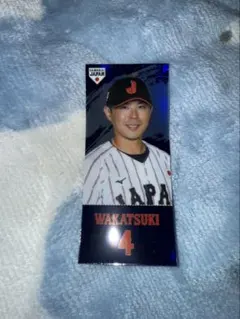 Item thumbnail for item d531e183-2828-4b5d-8a4e-d8b4e41331d6