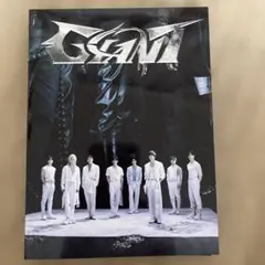 Stray Kids GIANT 初回生産限定盤B CD+ZINE - メルカリ