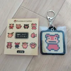 ポケモンセンター 金銀 刺繍キーホルダー - メルカリ