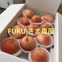 山梨一宮のめっちゃ甘い桃　特大サイズを１１個詰めて発送　今年はもう終わりだょ