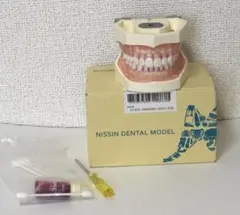 2025年最新】NISSIN顎模型の人気アイテム - メルカリ
