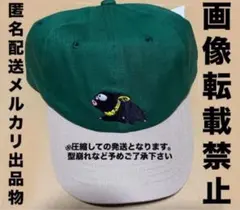 No.5 らんま1/2 バンプレストカード 乱馬 らんま キラ ブルマ 体操