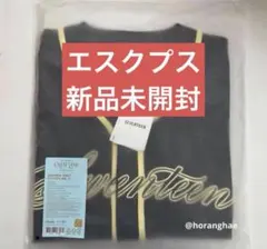 SEVENTEEN CARATLAND 2026 ユニフォーム ミンギュ - メルカリ