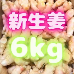 新生姜 薬味 おすすめ 365 - メルカリ