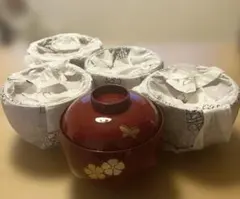 Item thumbnail for item 062fe297-d77f-452c-845c-2e2cbffe24f1