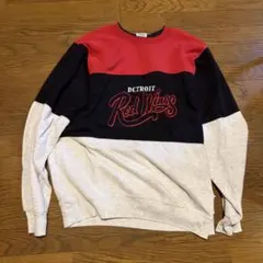 1度のみ着用☆浜田省吾☆2006-2007ツアーグッズラグランTシャツ☆S-M