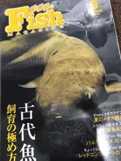 Item thumbnail for item acca56af-fb01-4d3f-8d59-1cb866fffc97