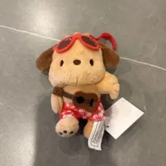 サンリオ ハワイ ポチャッコ 日焼け マスコット ぬいぐるみ