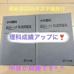 2026年最新】浜学園 小6 最高レベル特訓 テキストの人気アイテム