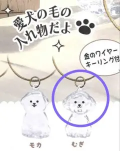 【新品】わんこのタイムカプセル　むぎ　犬の毛