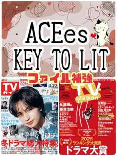 TVガイド 2/20号 ACEes KEY TO LIT 切り抜き テレビガイド