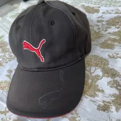 Item thumbnail for item a69c3757-ba3f-4ede-af51-5dd460aaae91