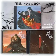 ♡『永夜星河』丁禹兮・虞书欣 中国ドラマOST /CD 3枚組66曲 - メルカリ