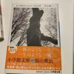 Item thumbnail for item ea864dcc-0cd4-4c1f-8e90-20c45d8bd8fd