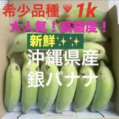 0526①大人気❣️大特価‼️希少品種✨新鮮✨沖縄県産銀バナナ✨箱別1