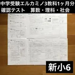 2026年最新】エルカミ テストの人気アイテム - メルカリ