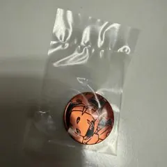 ポケモンコインコレクション 第6弾 グレンアルマ