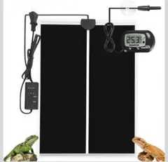 Item thumbnail for item ec5c78de-8c8e-4b94-ab5a-8530aa5aef19