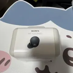 SONY WF1000XM5