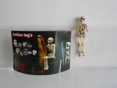 2025年最新】コップのフチボーンの人気アイテム - メルカリ