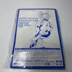 ヤングエース 2013年7月号 新世紀エヴァンゲリオン 最終回 完結記念
