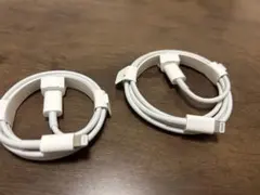 2本セット Apple純正 Lightning TYPEC ケーブル