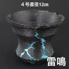雷鳴〜青〜 4号直径12㎝ 3dプリンター鉢 作家鉢 アガベ - メルカリ