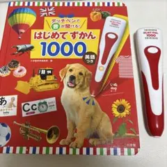 はじめてずかん1000 英語付き 小学館