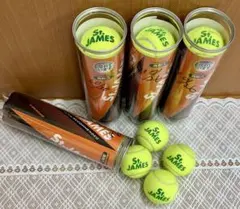 St.JAMES(セントジェームス)硬式テニスボール 16個◆胡