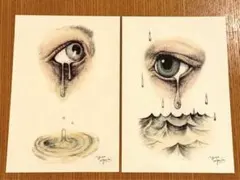 ボリス雑貨店 非売品 ポストカード 目 2枚セット ヒグチユウコさん ノベルティ