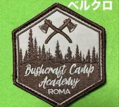 A891米国 キャンプ　アカデミー　刺繍パッチ　ベルクロ