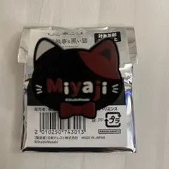 あくねこ ナンジャタウン ミヤジ