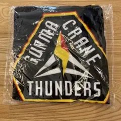 Item thumbnail for item 57091bf0-1758-4fa4-9e2b-4f1a891605a0