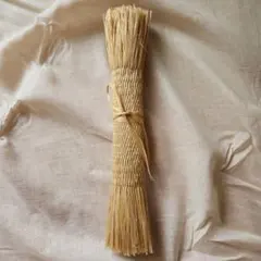 Item thumbnail for item e2b54195-f293-44d2-862a-6c445ca54f4c