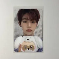 zeroni 5万ウォントレカ ジャンハオ ハニニ