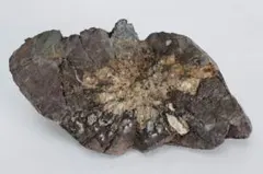 2025年最新】菊花石の人気アイテム - メルカリ