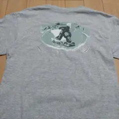 ステューシー 半袖Tシャツ ボーダ Tシャツ 刺繍ロゴ USA製 90年代