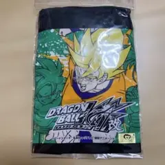 Item thumbnail for item d605e528-c894-4218-bc59-dde261e55888