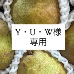 食べ頃セール中！[家庭用]山形のラ・フランス