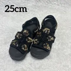 2025年最新】エアマックスココ 25 レオパードの人気アイテム - メルカリ