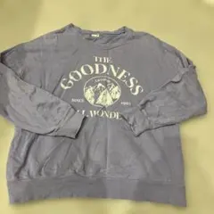 Item thumbnail for item f49b3b8c-f08a-4797-93b7-79d3c30f370c