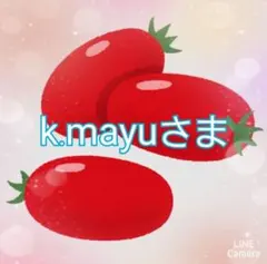 k.mayuさま専用です☺️