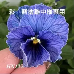 彩　断捨離中様専用•*¨*•.¸♬︎のサムネイル