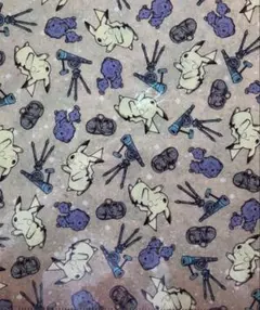 1枚のみ　ポケモン　Look upon the stars クリアファイル