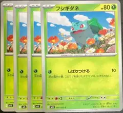 フシギダネ　まとめ売り　ポケモンカードゲーム
